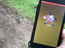 7kmタマゴから地域限定ポケモンが欲しい人必見!隠された秘密を徹底検証【ポケモンGO 秋田局】 画像