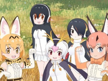 「けものフレンズ2」ロイヤルペンギン、コウテイペンギン、ジェンツーペンギンの3人が公開！ 画像