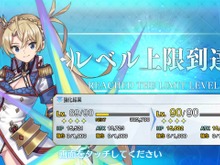 『FGO』フレポ召喚の種火だけで★5サーヴァントをLv.90に―掛かったポイントやガチャ回数はこうなった！【年末年始特集】 画像