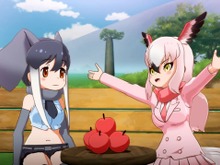 『けものフレンズ3』「ニコニコ超会議」で公式生放送特番を放映決定!Twitterキャンペーンでキャストサイン入り「ジャパリカ学習帳」をもらおう 画像