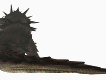 Wii『モンスターハンターG』に登場するラオシャンロンに関する生態情報 画像