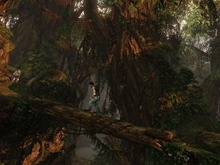 【E3 2009】映画級アクション！PS3『UNCHARTED 2: Among Thieves』プレイレポート 画像