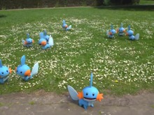 『ポケモン GO』7月コミュニティ・デイの情報が公開―御三家の1匹「ミズゴロウ」が大量出現! 画像