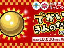 『ポケモン ソード・シールド』抽選で1万名に「でかいきんのたま×50個」プレゼント!少し遅めのお年玉キャンペーン開催 画像
