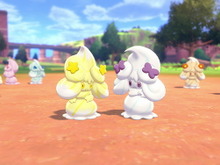 『ポケモン ソード・シールド』スター/リボンアメざいく新登場で「マホイップ」の見た目が増加！キョダイマックス個体の「マホミル」大量出現中 画像