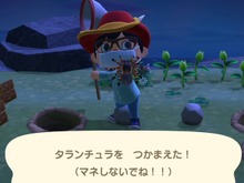 『あつまれ どうぶつの森』マイル旅行券を使えば「夢のような島」に行ける!? マイルをつぎこんでレア島に挑戦してみた 画像