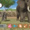 Wiiで動物たちと触れ合う癒し系ゲーム『Animal Life～動物ふれあい生活～』9月15日配信開始！