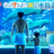 いつものお風呂が水族館に！“海のなかま”が飛び出す入浴剤「ドラマチックお風呂シリーズ」に新弾が登場