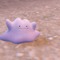 メタモンがようやく自由の身に！？『ポケモンSV』でトレーナーの“酷使”から解放される可能性