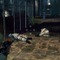 『SOCOM: U.S. Navy SEALs Portable』「CEポイント」「カスタムミッション」を紹介！