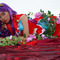 【コスプレ】戦いの中で育まれる百合が尊い！水星の魔女、まどマギ、リコリコ、ウテナの美女コスプレまとめ【写真39枚】