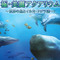 釣って育てて鑑賞、DSiウェア新作『極・美麗アクアリウム～世界の魚とイルカ・クジラ達～』6月12日配信