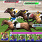 【ロイドレポ】第25回 パズルで馬を走らせる！ パズドラ風3マッチパズルゲーム『パズルダービー』でオルフェーヴルとゴール