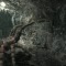 Wii版『biohazard』公式サイトのクリーチャーズラボコーナー、今週は「ウェブスピナー」と「ブラックタイガー」