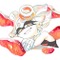 『スプラトゥーン』「ツナマヨ vs 紅しゃけ」フェスイラストが公開、どちらがお好み？