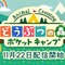 【読者アンケート】『どうぶつの森 ポケットキャンプ』キャンプ場のテーマはどれを選んだ？
