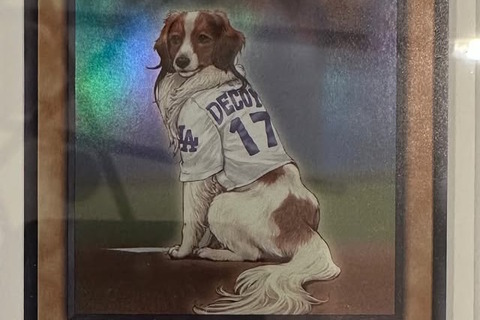 大谷翔平の愛犬・デコピン、遊戯王カードになる―KONAMIから粋なプレゼント!フレーバーテキストも素敵 画像