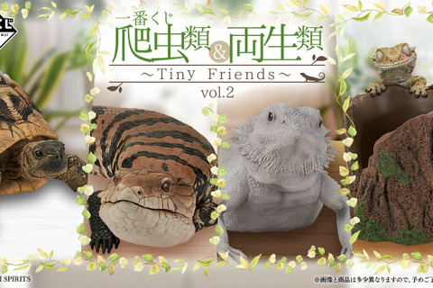 リアルで可愛い「一番くじ 爬虫類&両生類」第2弾の全ラインナップ公開!ラストワン賞はペロッと舌を出したアオジタトカゲ 画像