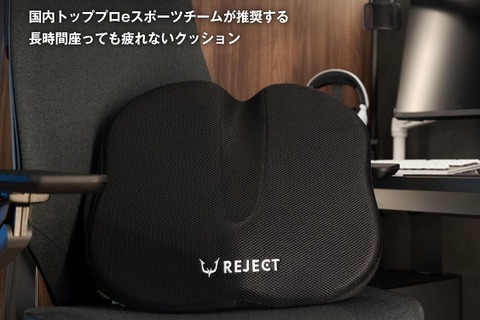 蒸し暑い夏も快適！プロeスポーツチーム監修の“冷感＆低反発”ゲーミングクッション【5,980円】 画像