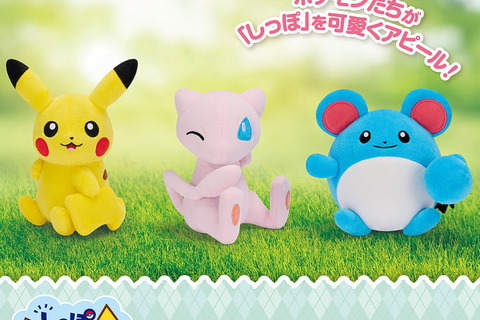 11月登場予定『ポケモン』クレーンゲーム景品をチェック！大きなヒメグマやポリゴン、モンスターボールコレクションなどぬいぐるみ多数 画像