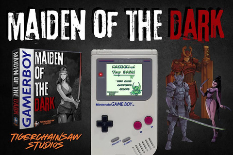 ゲームボーイ向け新作アクションゲーム『Maiden of the Dark』クラファン開始！ 画像