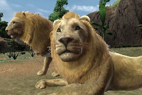マーベラス、動物園に活気を取り戻すゲーム『アニマルリゾート』を出展 画像
