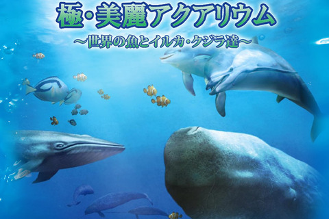 釣って育てて鑑賞、DSiウェア新作『極・美麗アクアリウム～世界の魚とイルカ・クジラ達～』6月12日配信 画像