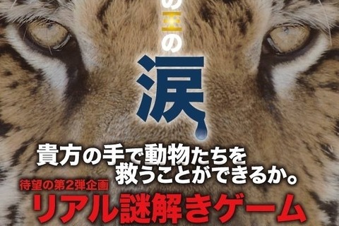 閉園後の動物園が舞台のリアル謎解きゲーム「夜の動物園と密林の王の涙 at よこはま動物園ズーラシア」開催 画像