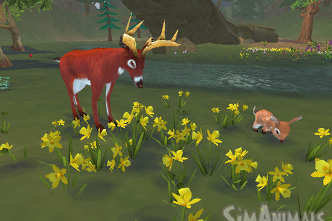 物や植物たちが住みやすい森を作ろう！『シムアニマル』Wii＆DSで来年2月発売 画像