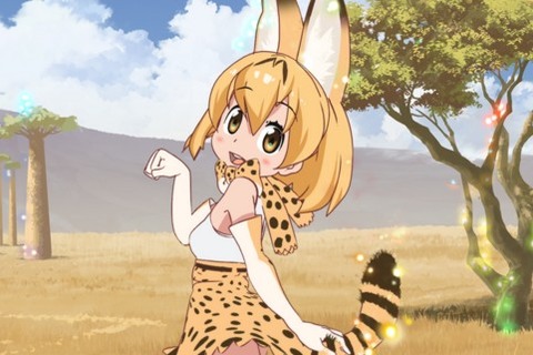 見逃した人も、もう一度見たい方も！ TVアニメ「けものフレンズ」テレビ東京系列にて再放送決定 画像