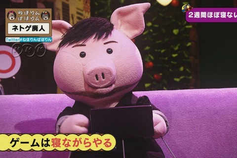 NHK「ねほりんぱほりん」で“ネトゲ廃人”について赤裸々トーク! 「ゲームを寝ながらやる方法」や1日20時間もプレイする理由とは? 画像