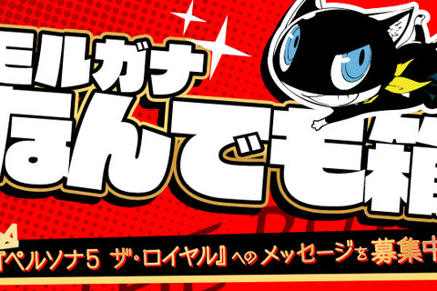 『ペルソナ５ ザ・ロイヤル』様々なメッセージを募集する「モルガナなんでも箱」始動！ファンの疑問に公式がお答え 画像