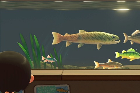 『あつまれ どうぶつの森』3月までの限定レア魚「イトウ」にチャレンジ！“まきエサ”100個で幻の魚は釣れるか!?　 画像