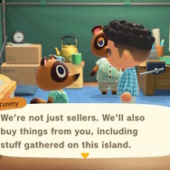 スイッチ『あつまれ どうぶつの森』で始める語学留学! Pick up and Catch:まずは採取から始めよう