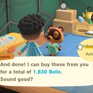 スイッチ『あつまれ どうぶつの森』で始める語学留学! Pick up and Catch:まずは採取から始めよう