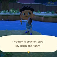 スイッチ『あつまれ どうぶつの森』で始める語学留学! Pick up and Catch:まずは採取から始めよう