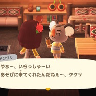 『あつまれ どうぶつの森』の博物館で学ぼう！進化系統樹の最後のピースはあなた！