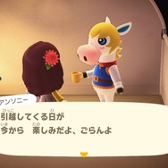 『あつまれ どうぶつの森』の博物館で学ぼう！進化系統樹の最後のピースはあなた！