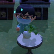 『あつまれ どうぶつの森』“カブ”であなたも億万長者!?　儲かる・便利・意外な使い道のあるカブ取引をはじめよう