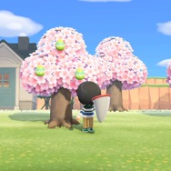 『あつまれ どうぶつの森』イースターのたまご・レシピはどこにある? 特別な家具の作り方やぴょんたろうの秘密をチェックしよう