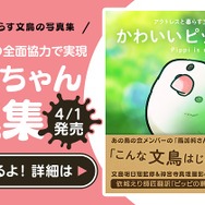 カンダタが“ライザップ”！『アズレン』次回作発表!? 全力過ぎる『デレステ』─令和初のエイプリルフールを彩る11選を紹介