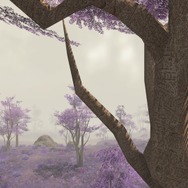 『FF14』今年のエッグハントはウサギになれる!映えるスポットを求めて、エオルゼアを西へ東へ大冒険