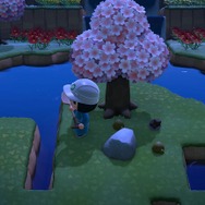 『あつまれ どうぶつの森』の「あったらいいな」を妄想してみた─“花びらが散らない靴”にDIY一括作成…島での暮らしをもっと便利に楽しみたい!
