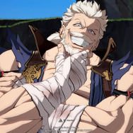 『グラブル ヴァーサス』“エロじじい”と名高いソリッズはファスティバ(おとめ)の顔を狙わない紳士である─本家を知らない騎空士の好感度が爆上がりした話