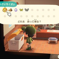『あつまれ どうぶつの森』おすそ分けプレイのメリット・デメリットとは?フォロワーの道具は壊れない、ハチが狙うのはリーダーだけ