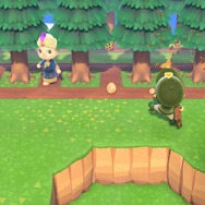 『あつまれ どうぶつの森』おすそ分けプレイのメリット・デメリットとは?フォロワーの道具は壊れない、ハチが狙うのはリーダーだけ