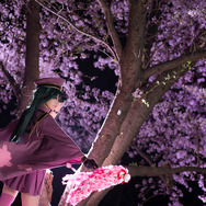 初音ミク「千本桜」／画像提供：姫美那