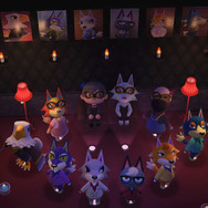 画像提供：茶々丸