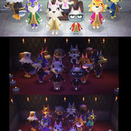 画像提供：茶々丸