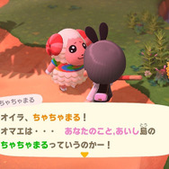 画像提供：茶々丸